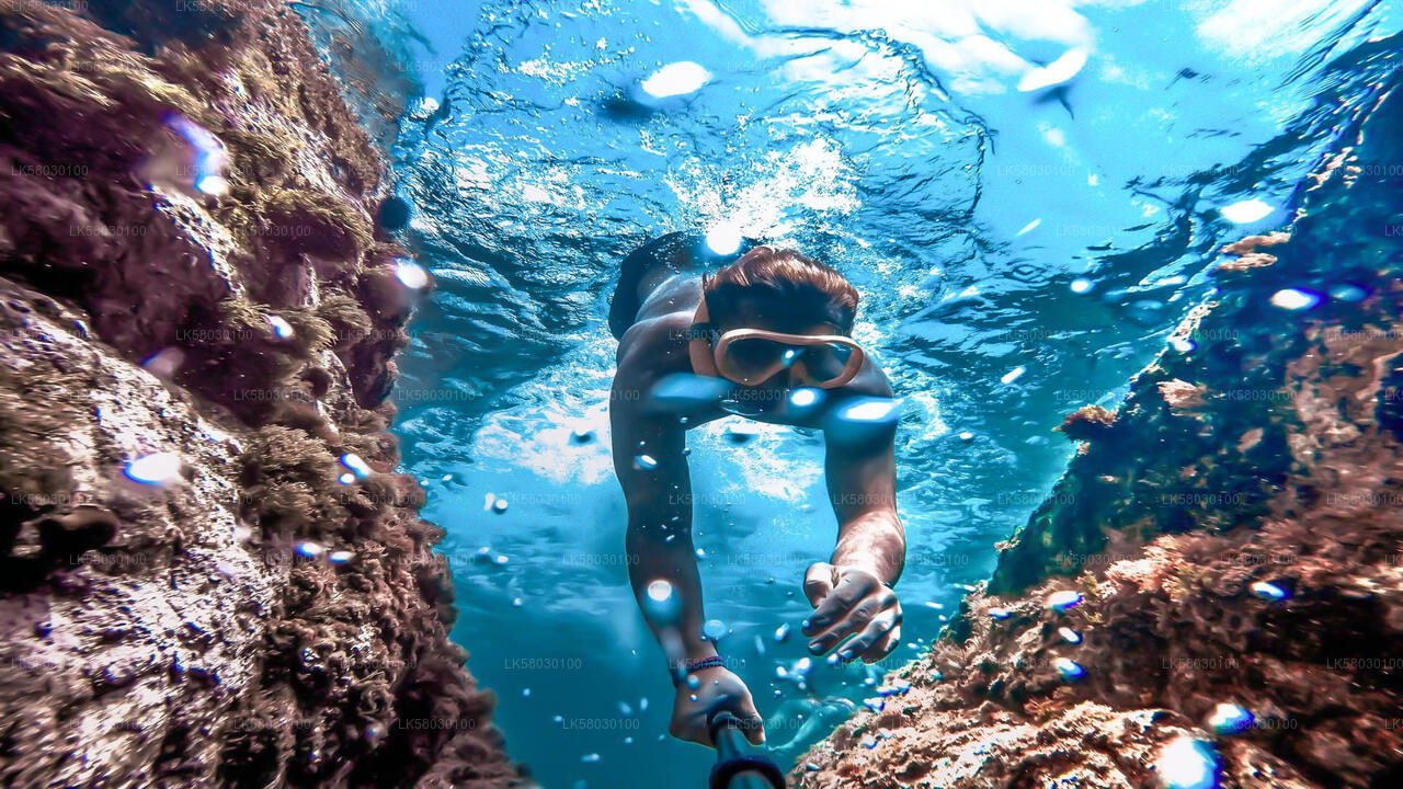 Snorkeling from Bentota