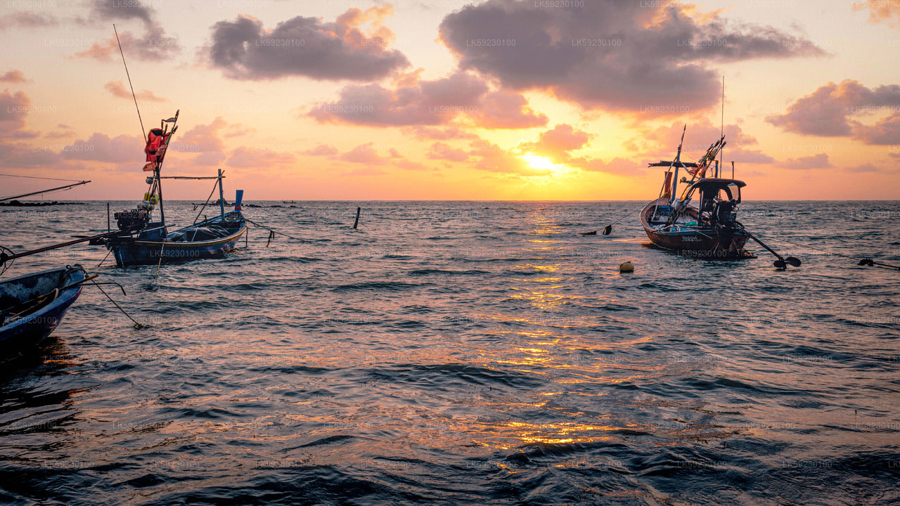 Deep Sea Fishing from Trincomalee