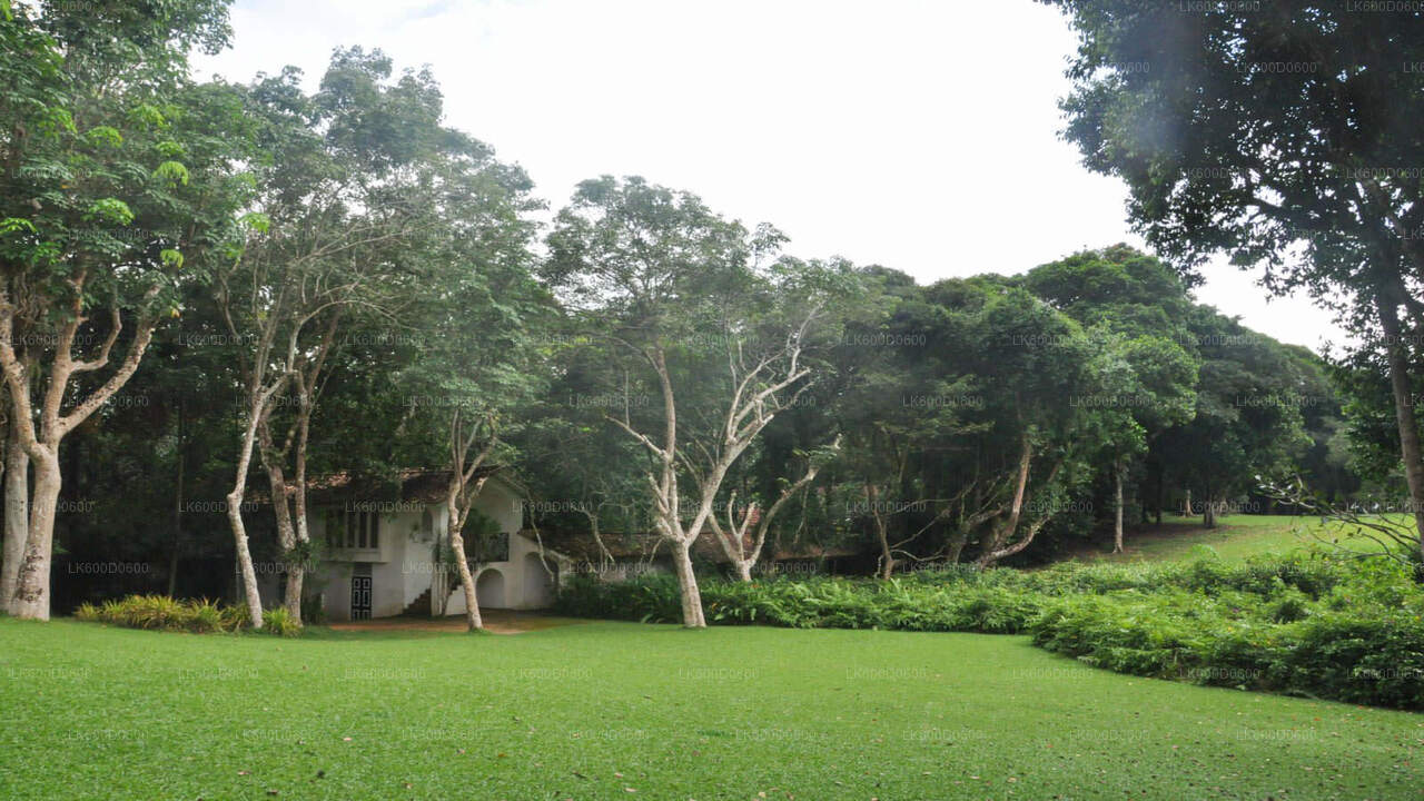 Bentota City Tour from Koggala