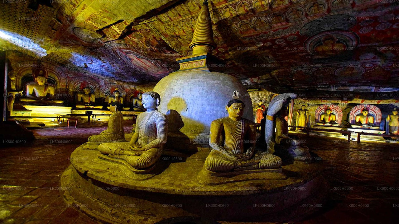 Sigiriya och Dambulla från Colombo