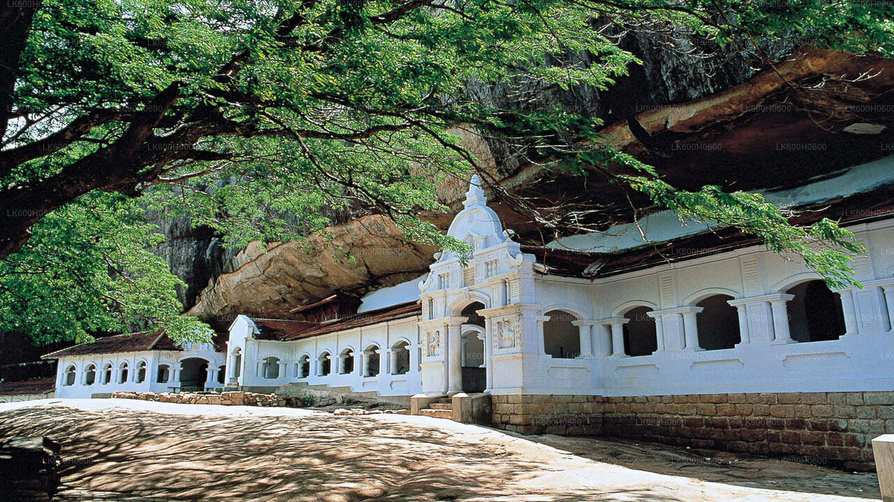 Sigiriya och Dambulla från Colombo