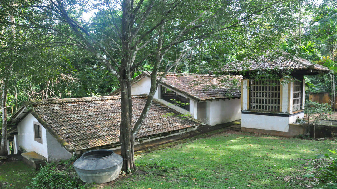 Excursión a la ciudad de Bentota desde Galle