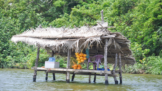 Bentota City Tour from Kalutara