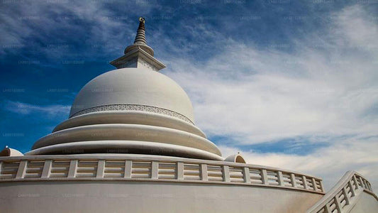 Hidden Temples and Secluded Coastline from Koggala