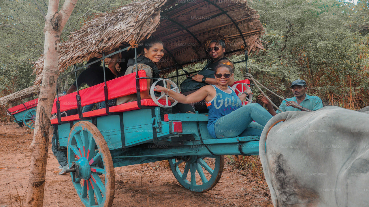 Sigiriya Rock and Wild Elephant Safari from Dambulla