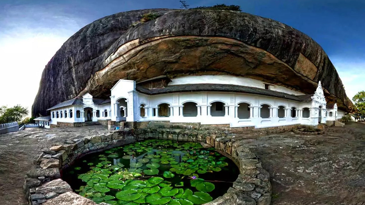 Sigiriya Rock and Wild Elephant Safari from Dambulla