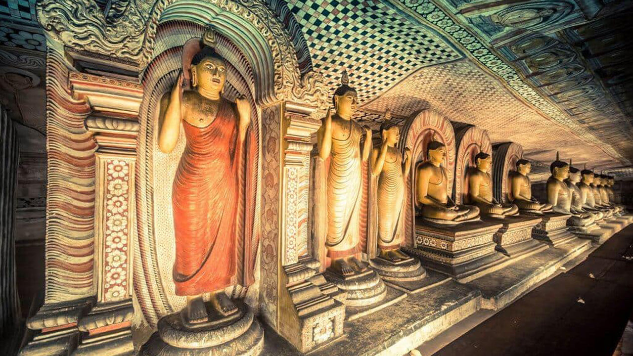Sigiriya Rock and Wild Elephant Safari from Dambulla
