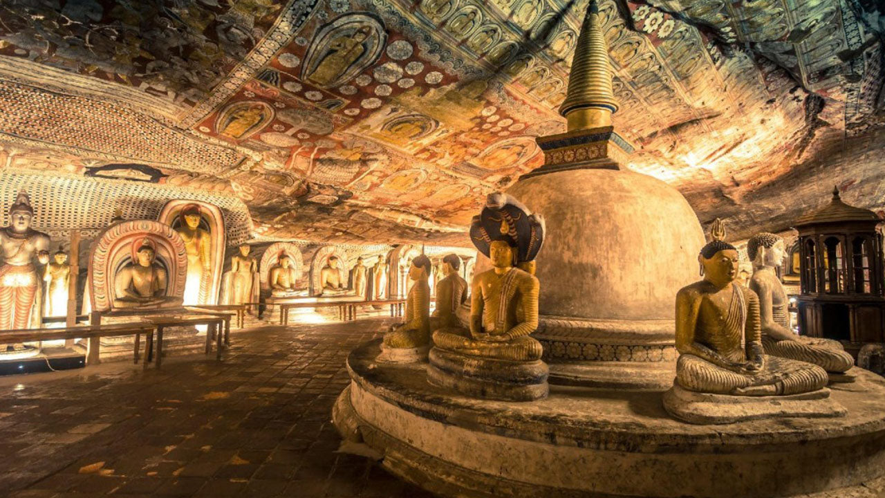 Sigiriya Rock and Wild Elephant Safari from Dambulla
