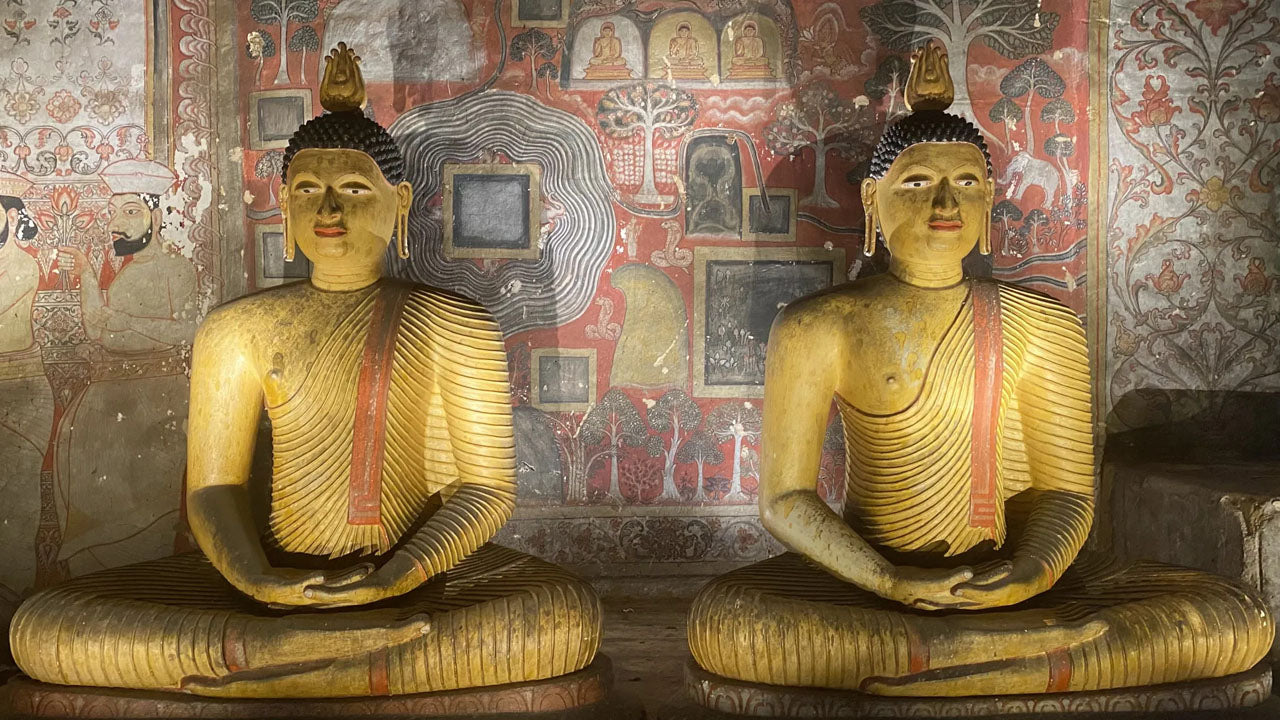 Sigiriya Rock and Wild Elephant Safari from Dambulla