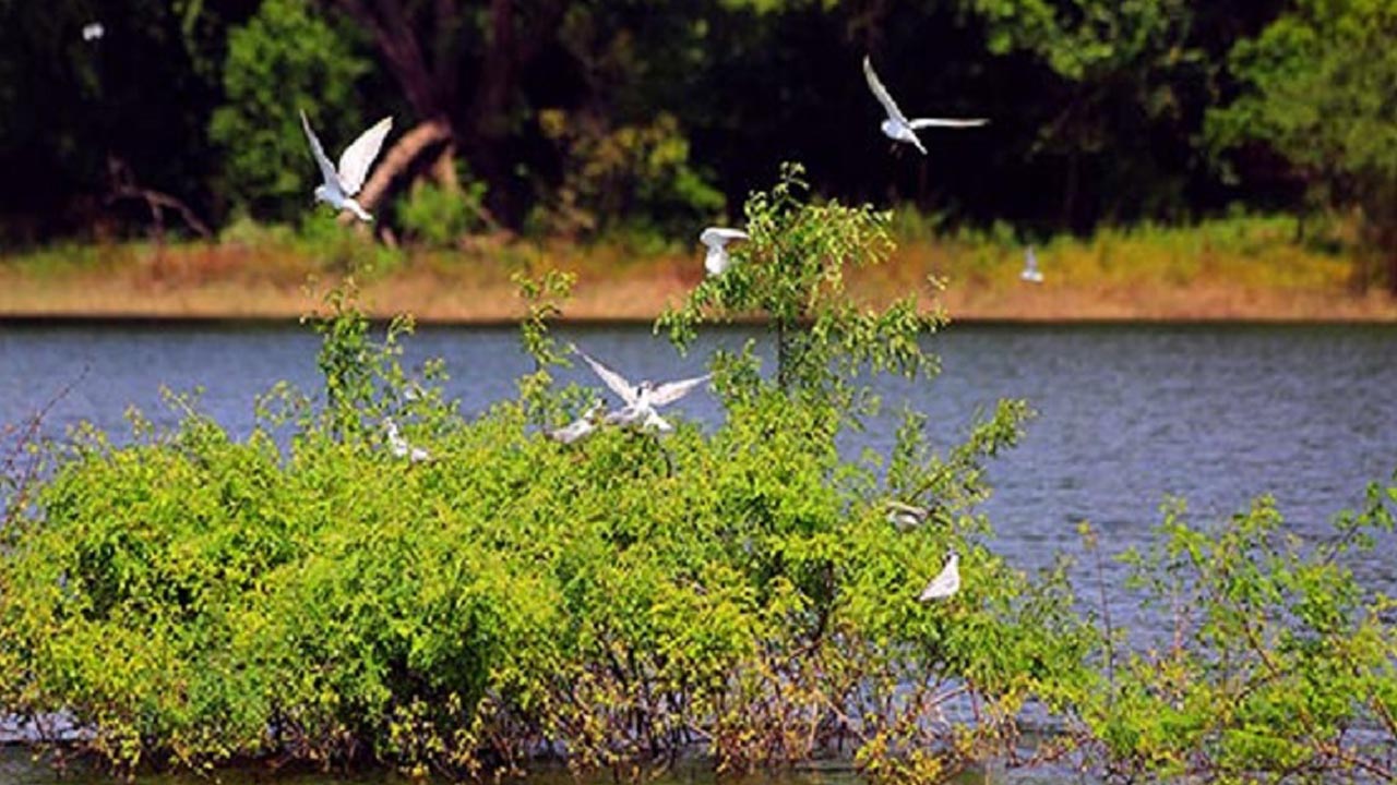 Gal Oya National Park Boat Safari