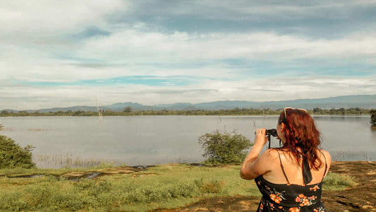 Birdwatching at Udawalawe National Park from Mount Lavinia