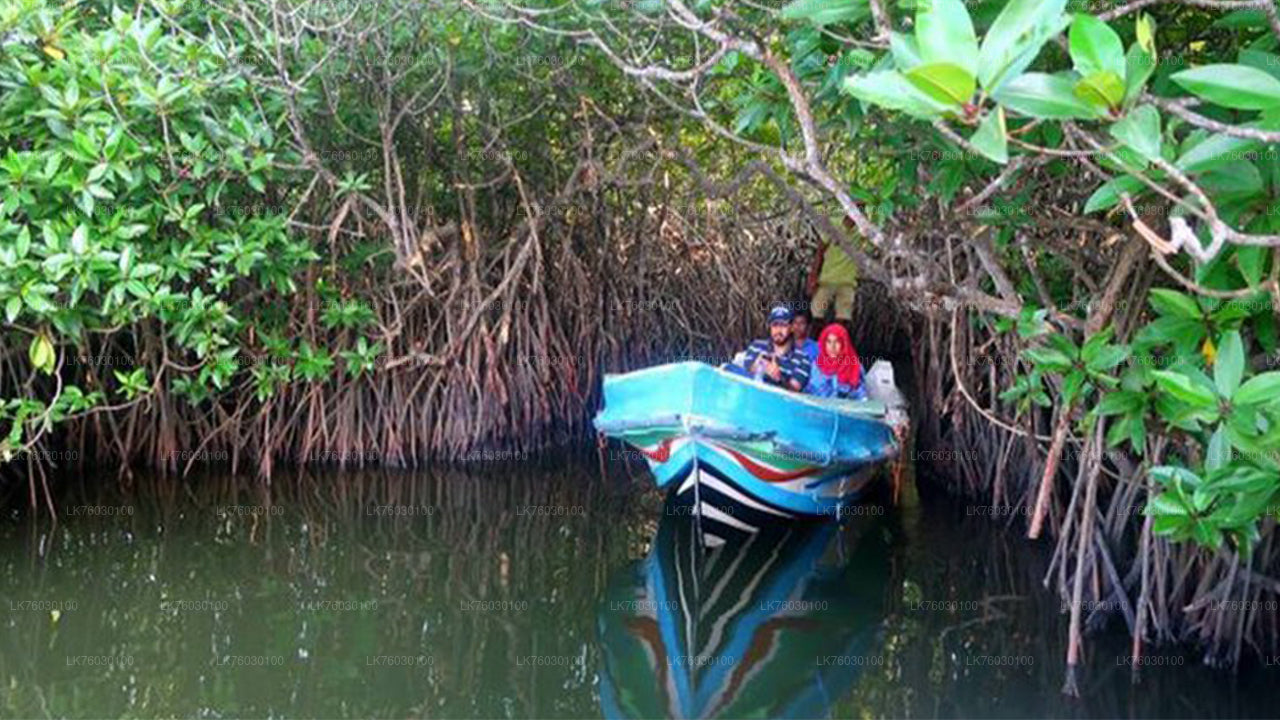 Bentota City Tour from Koggala