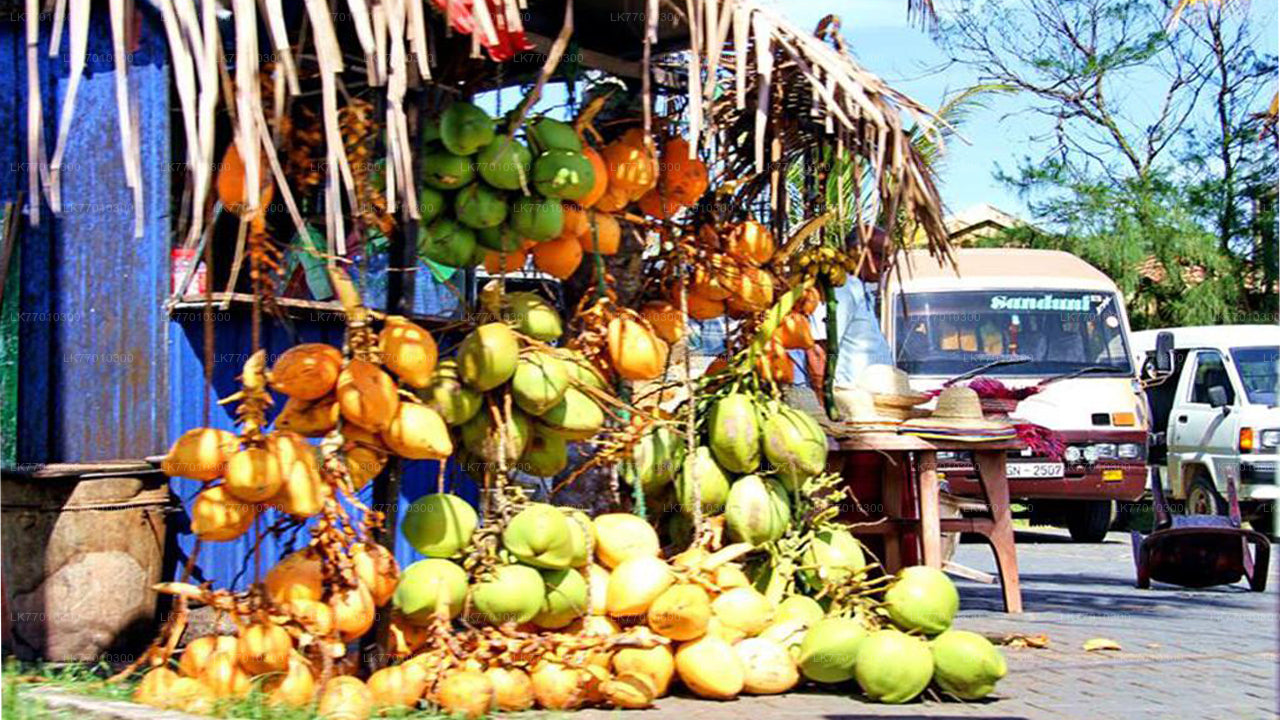 Colombo City Highlights by Bicycle