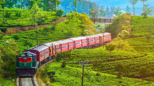 Colombo to Badulla train ride on (Train No: 1015 "Udarata Menike")
