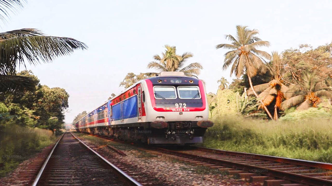 Viaje en tren de Ella a Peradeniya (número de tren: 1002 «Denuwara Menike»)