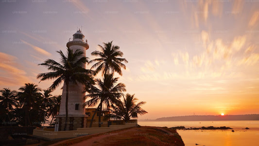 Coastal Ride to Galle from Colombo Seaport
