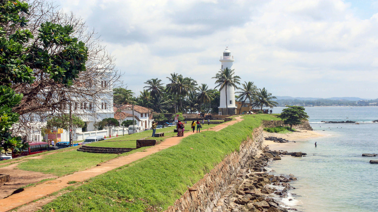 Southern Coast Highlights from Colombo Port