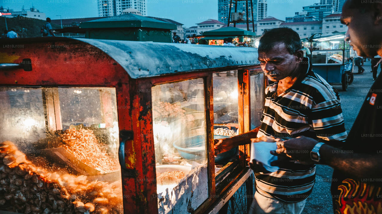 Colombo City Walk with a Local from Colombo Seaport