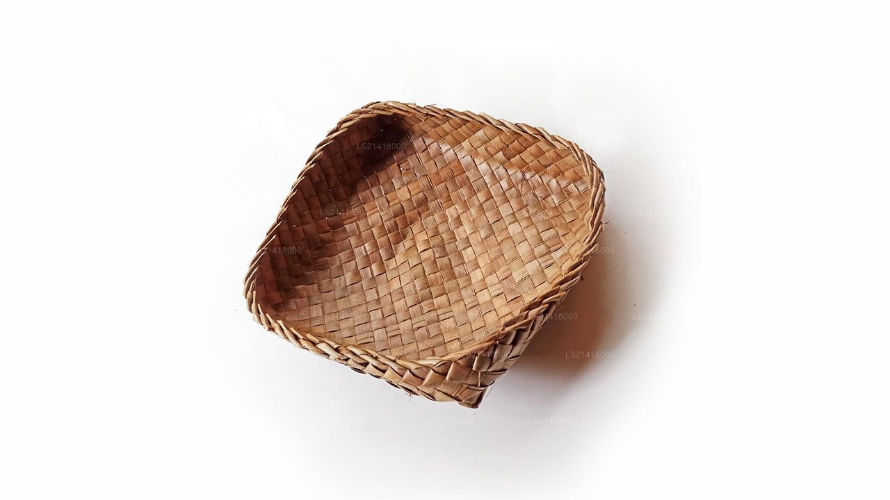 Lakpura Liść Kokosowy Watti (20cm)